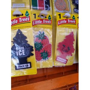 Little Trees Hanging Car Air Freshener – Assorted Scents