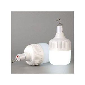 Dp Light USB Rechargeable Bulb Emergency Charging Lamp - 2 Pieces