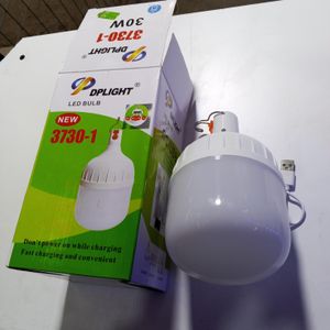 Phillipp DP light bulb3730-1