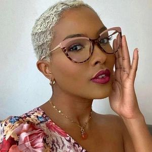 Classic Ladies Anti Blue Light Cat Eye Glasses/Photochromic Glasses