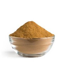 Organic  Reishi Mushroom Powder    100g   