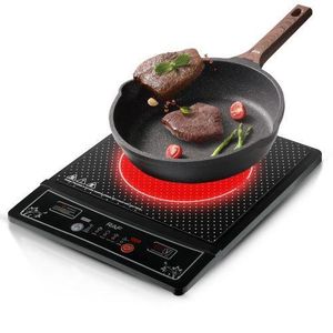 RAF Portable Induction Cooktop Countertop Burner-2000W