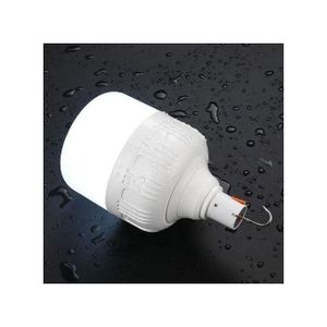 Dp Light 40W Rechargeable USB Bulb Lamp INDOOR OR OUTDOOR USE