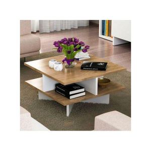 Hamilton Modern Design Coffee Table With Storage