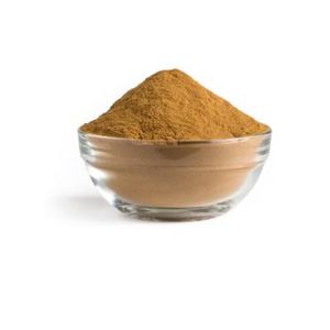 Organic Reishi Mushroom Powder 100g   