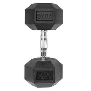 20kg Dumbbell Hexagonal Weight Lifting Dumbell