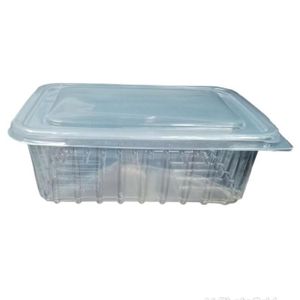 Disposable Food Containers