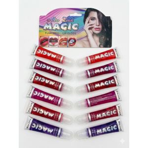 Magic Micolor 6pcs long lasting lipgloss
