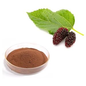 Organic 	Mulberry Extract (Herbal Supplement) 100g