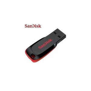 Sandisk USB Flash Disk Drive - 2GB