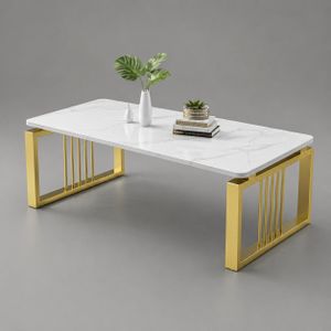 WHITE and GOLD rectangular COFFEE TABLE 