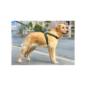 High Quality Nylon Dog Harness And Leash Double Layer