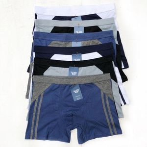 6PCS Men's Classic Stretchy Cotton Boxer -ASSORTED