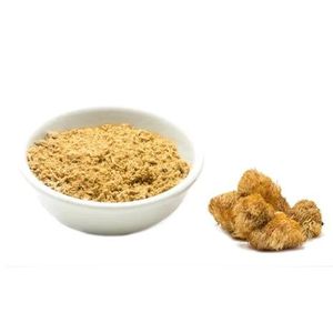 Organic 	Lion’s Mane Mushroom Powder for brain boost 100g