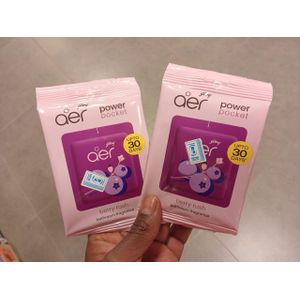 2pcs AER Power Pocket Bathroom Air Freshener Berry Rush – Long Lasting Toilet Fragrance