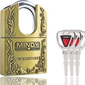 World Class Anti Theft Security Padlock 