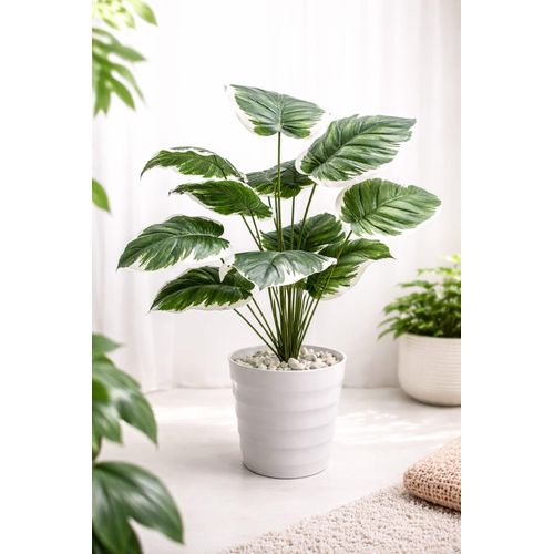 product_image_name-Generic-Artificial Flower , Decor Stones Plus A Vase- White patches -1