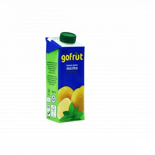 product_image_name-Generic-Gofruit Lemon Mint Mojito 250Ml-1