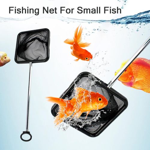 Generic Fishing Net for Small Fish Stainless Steel Extendable Handle Fish  Net @ Best Price Online