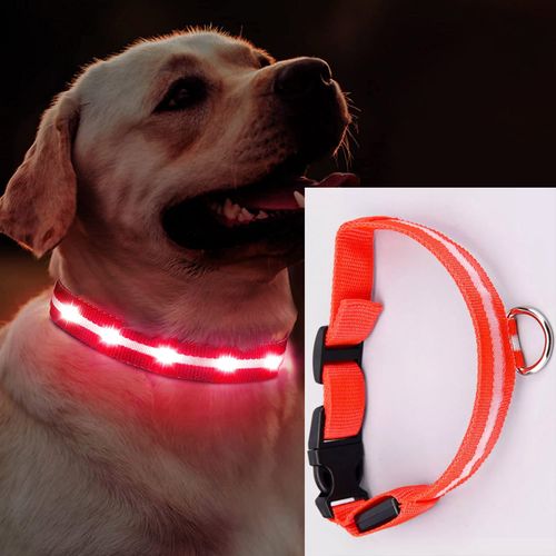 Best light deals up dog collar