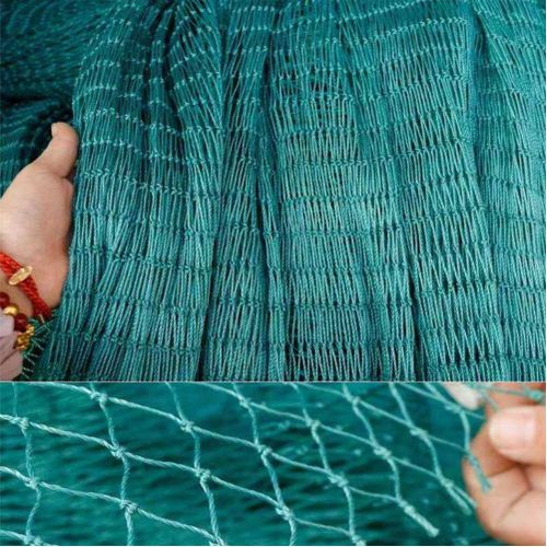 Generic 12 Strands Heavy Anti Bird Netting Garden Crops Protective Fencing  Balcony Mesh Cat Dog Chicken Bird Nets For Catching Birds-1.5Mx10M @ Best  Price Online