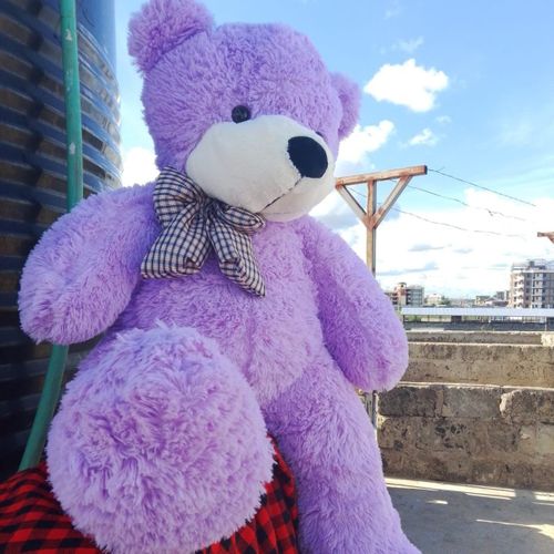 product_image_name-Generic-Cute purple Teddybears for gifting -1