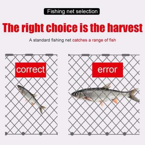 Generic Three Layer Outdoor Fishing Net Fish Network Monofilament