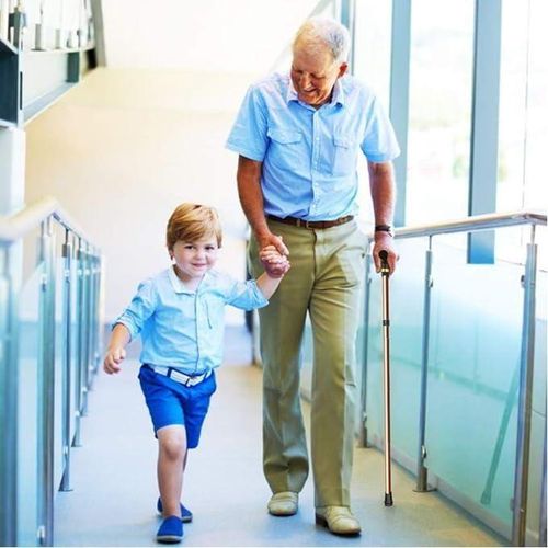 product_image_name-Generic-Foldable Walking Stick – Adjustable-2