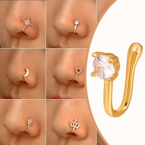 Clip on sale nose ring hoop