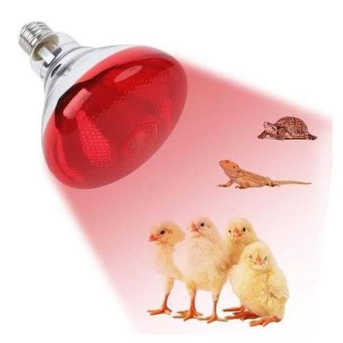 product_image_name-Generic-Infrared Red Chicken Bulb, Heat Lamp For Chickens Coop Brooder And Reptile Heat Bulb  Light-1
