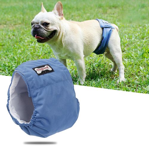 Reusable Physiological Diapers For Dogs And Cats Washable And