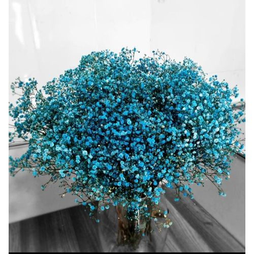 product_image_name-Generic-BUNCH OF GYPSOPHILA BLUE (20 STEMS)-1