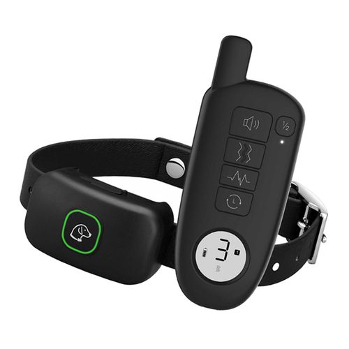 Best no shock dog training collar best sale
