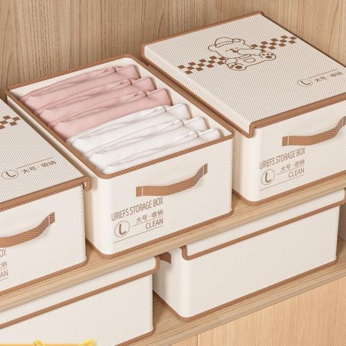 product_image_name-Generic-Closet Multipurpose Organizers or Storage Box-4
