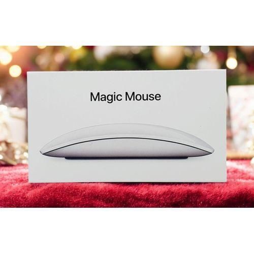 Apple Magic Mouse USB C A3204 MXK53ZA/A White Multi Touch