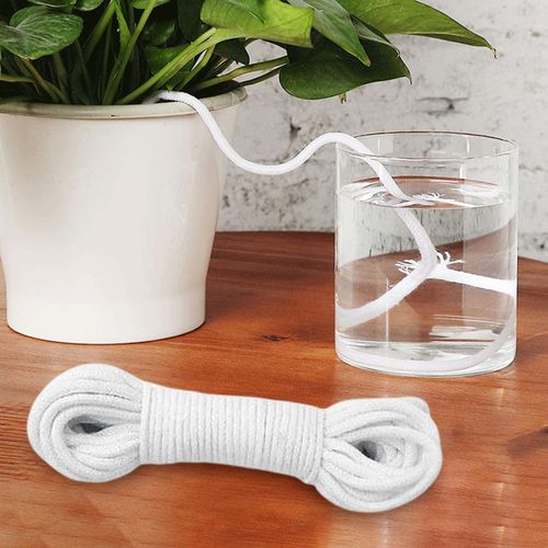 Generic Cotton Cord String Self Watering Wick 30ft Drip 4mm @ Best