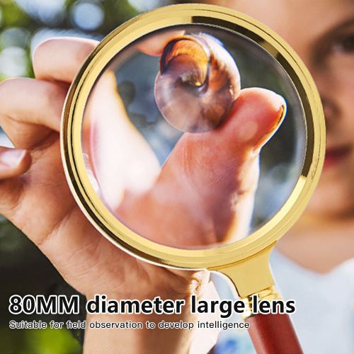 10X Foldable Magnifying Glass Portable Handheld Pocket Magnifier
