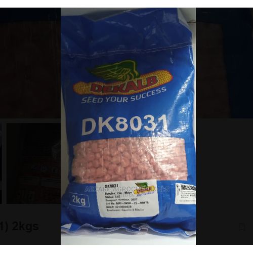 Dekalb 2Kgs Quality Maize Seeds (Dk 8031) Best Price Online Jumia Kenya