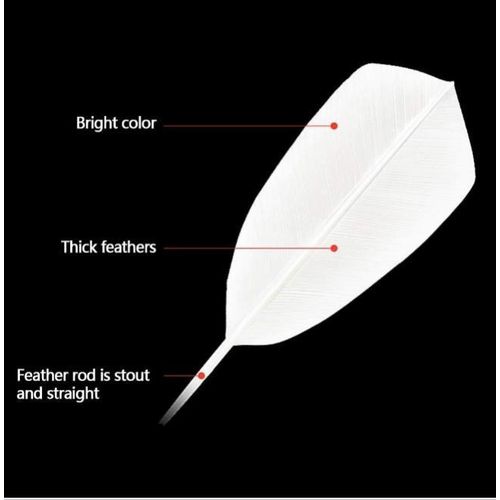 product_image_name-Generic- Badminton Shuttlecocks High Speed Badminton -4