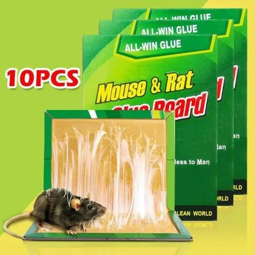 product_image_name-Generic-10pcs Multipurpose Non-toxic Rat/Mice/Mouse Sticky Glue Board Traps  -1