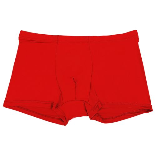 Summer Ice Silk Men Underwear Seamless Transparent Boxer Shorts