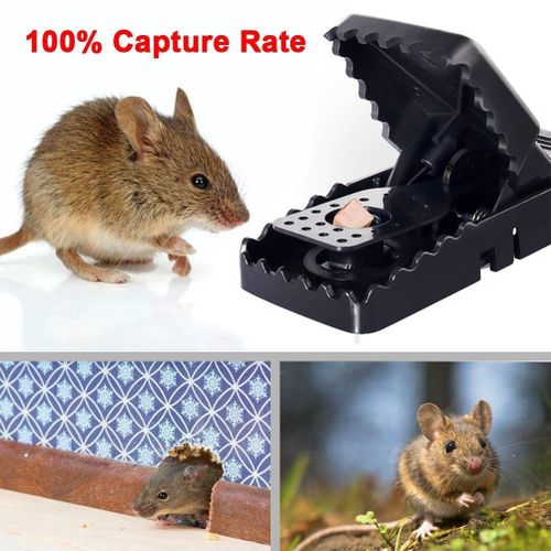 Secure-Kill Rat Trap, Features Aggressive Secure Catch Design to Trap and  Kill, 1 Trap