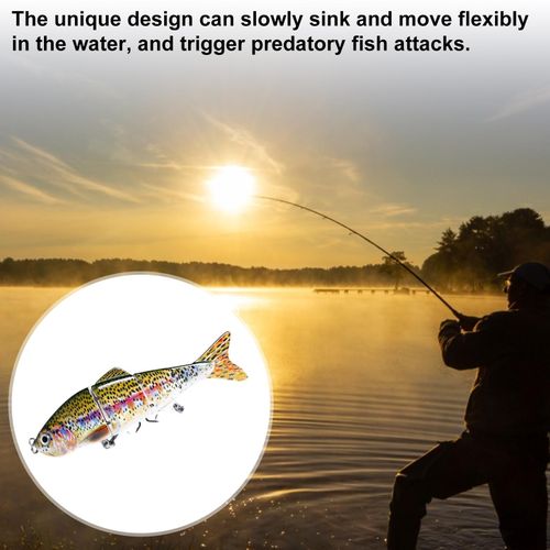 Generic Fishing Lure Bait Realistic 3d Fisheye Hard Bait Multi for