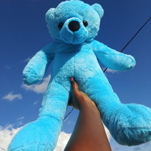 product_image_name-Generic-Cute blue Teddybears for gifting -1
