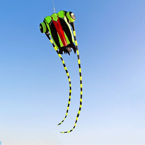 Generic 3D Kite For Kids And Adults Huge Frameless Soft Parafoil @ Best  Price Online