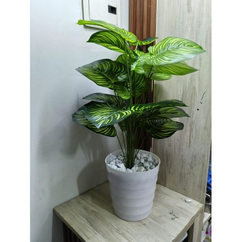 product_image_name-Generic-Artificial Stripped Flower , Decor Stones Plus A Vase-3