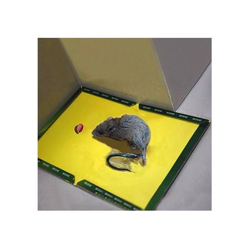product_image_name-Doom- Non-Toxic Mouse Rat Trap Sticky Glue Board-2