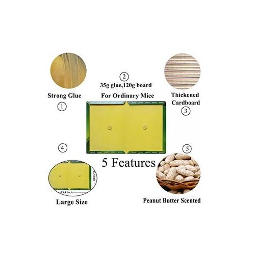 product_image_name-Doom- Non-Toxic Mouse Rat Trap Sticky Glue Board-3