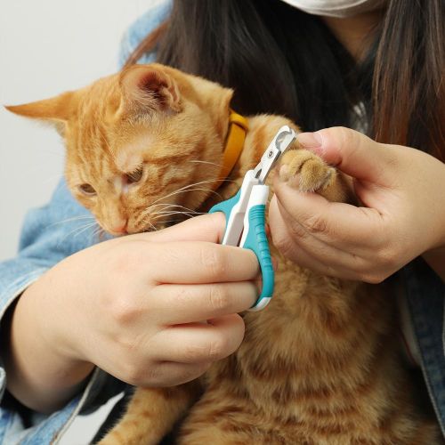 Cat Nail Clipper, Premium Dog Nail Clippers Trimmers Cat Claw Pet Nail  Clippers Professional Ergonomic Anti-slip Small Animals Grooming Tool for  Kitten Cats Puppy Birds Hedgehogs Rabbits Hamsters
