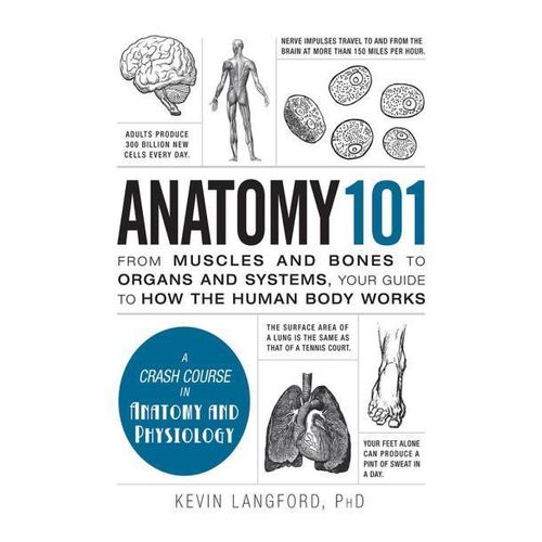 product_image_name-Kingston-Anatomy 101 Book By Kevin Langford, PhD-1